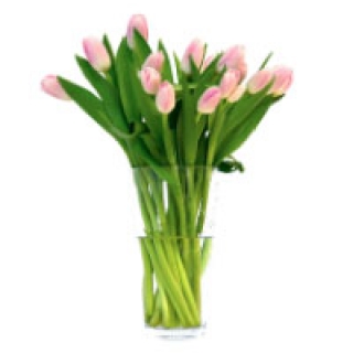 Тюльпани
