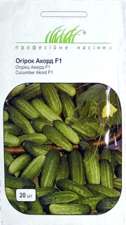 Огірок Акорд F1 (20шт)