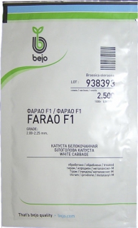 Капуста рання Фарао F1 (2500 шт)
