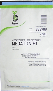 Капуста середня Мегатон (2500шт)