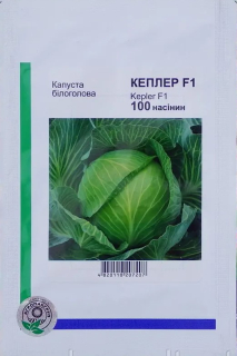 Капуста середньопізня Кеплер F1 (100шт)