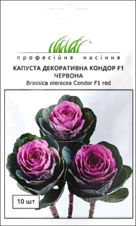 Капуста декоративна Кондор F1 червона