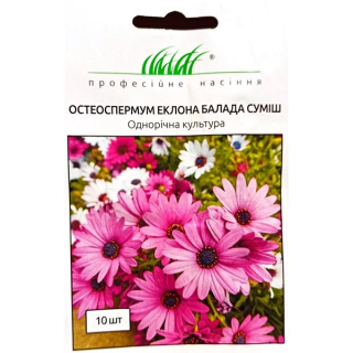 Остеоспермум(африканська ромашка) Балада суміш (10