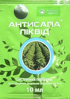 Антисапа 10мл
