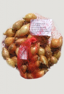 Цибуля Радар (озима) (200г)