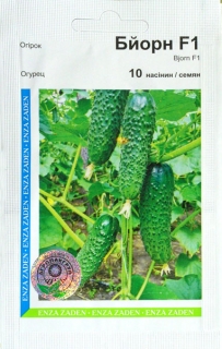 Огірки Бйорн (10шт)