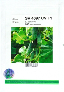 Огірки СВ 4097 F1 (100шт)