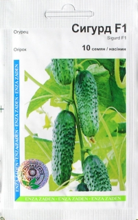 Огірки Сігурд F1 (10шт)