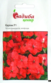 Петунія Карлик F1 червона (10шт)
