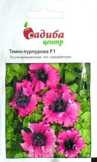 Петунія Темно-пурпунрова F1 грандіфлора (10шт)