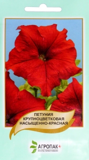 Петунія Великоквіткова низька Бордова (10шт)