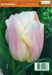 Тюльпан Appricot Beauty (1шт)