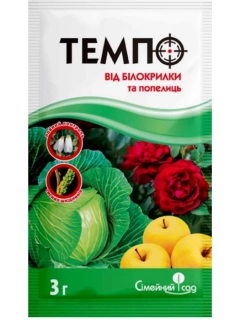 Темпо (3г)