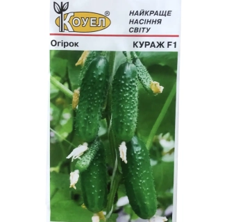 Огірки Кураж F1*2026 (10шт)