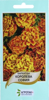 Чорнобривці Королева Софія (0.2г)