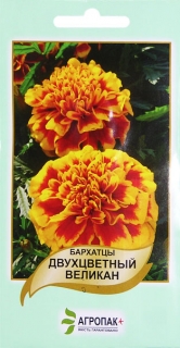 Чорнобривці Двоколірний велікан