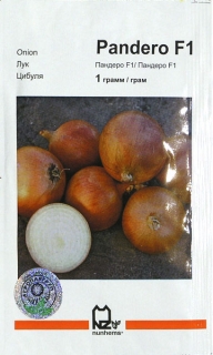 Цибуля Пандеро (1г)
