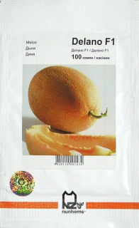Диня Делано (100шт)