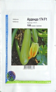 Кабачок Ардендо 174 (100шт)