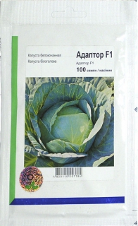 Капуста середня Адаптор (100шт)