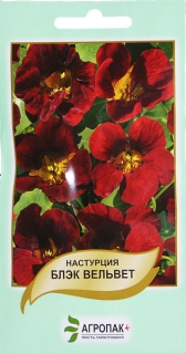 Настурція Блек Вельвет (2г)