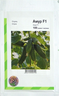 Огірки Амур (100шт)