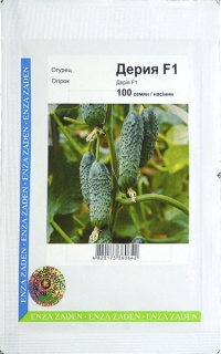 Огірки Дерія F1 (100шт)