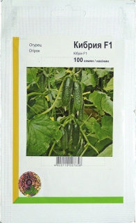 Огірки Кібрія (100шт)