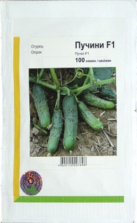 Огірки Пучіні (100шт)