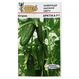 Огірки Арктика* Коуел (10шт)