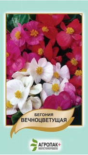 Бегонія вічноквітуча суміш (0.01г)