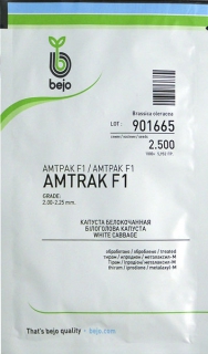 Капуста пізня Амтрак F1 (2500шт)