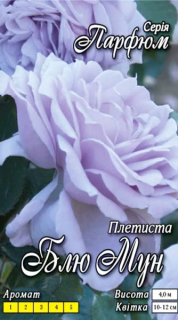 Троянда Блу мун витка (1шт)