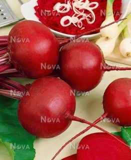 Буряк столовий Нобол (250г)