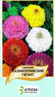 Цинія Каліфорнійський гігант*АПГ* (0.5г)