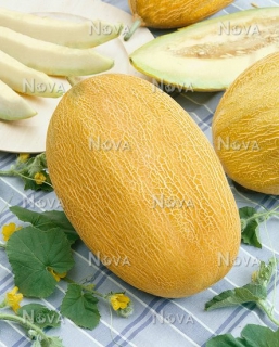 Диня Делано (100шт)