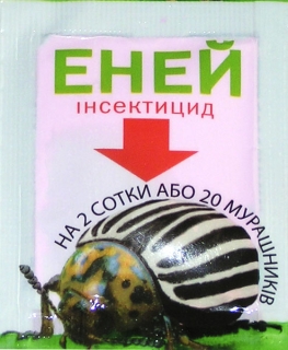Еней (1г)