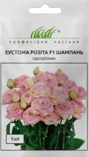 Еустома Розіта F1 шампань (5шт)