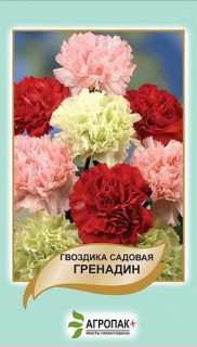 Гвоздика Гренадін садова (0.2г)