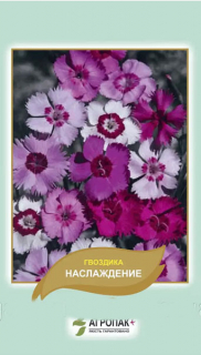 Гвоздика Насолода (0.05г)