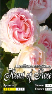 Троянда англійська плетиста Серце троянди Heart of Rose: