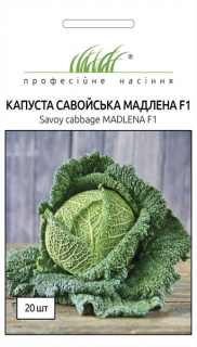 Капуста савойська Мадлена F1 (20шт)