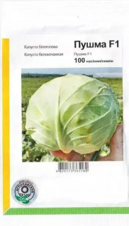Капуста рання Пушма F1 (100шт)