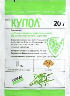 Купол (20г)