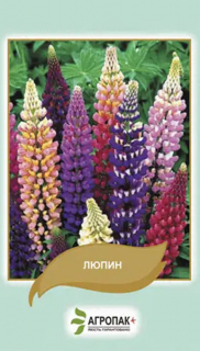 Люпин Багатолистний суміш (1г)