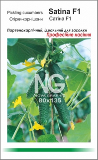 Огірки Сатіна (10шт)