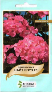 Пеларгонія Найт Роуз (5шт)