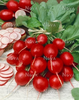 Редис Джоллі (0,5кг)