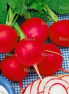 Редиска Сора (250 г)