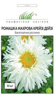 Ромашка Крейзі Дейзі махрова (30шт)